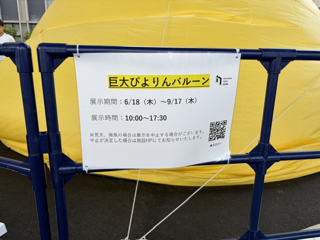 巨大ぴよりんバルーンの展示期間と時間